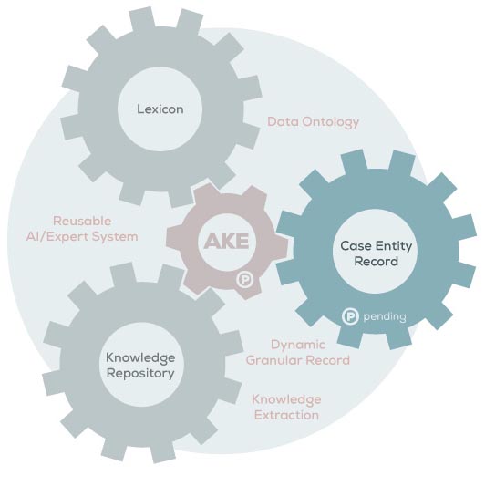 akelex-infographics-lexicon